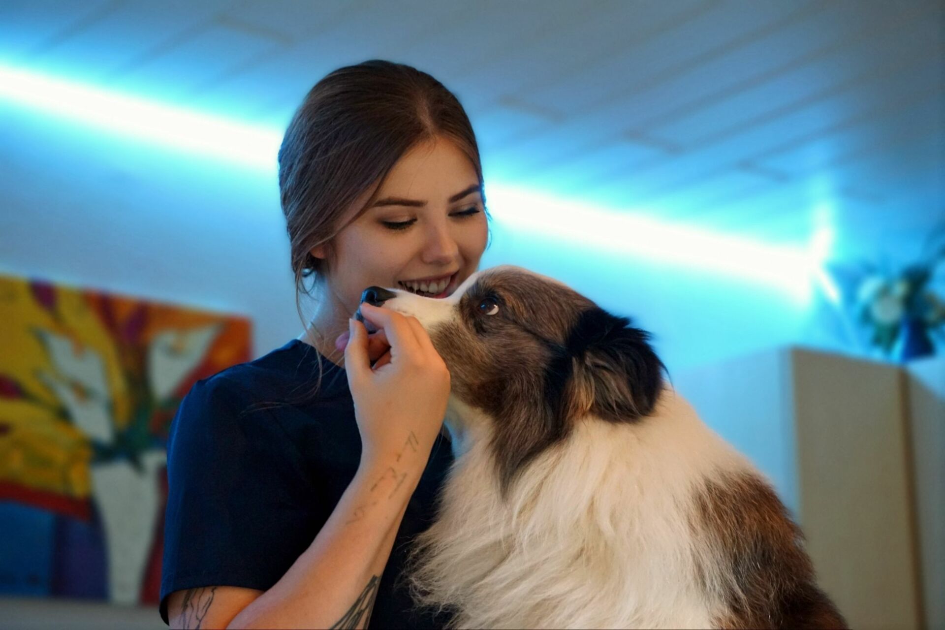 Ein Hund ist bei der Physiotherapie bei der Tierpension Haas und wird gestreichelt